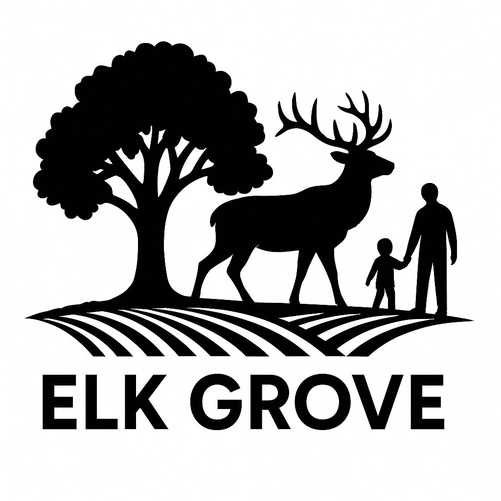 certified translation services in Elk Grove