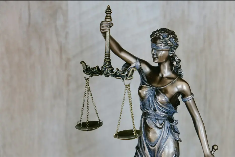 Professional legal translation services